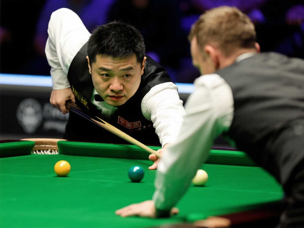 晶宫和球员 晶宫和球员